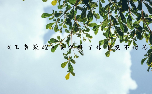 《王者荣耀》美化补丁作用及不封号的美化包