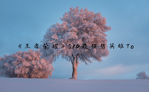 《王者荣耀》S10最强势英雄Top5：排位上分必备