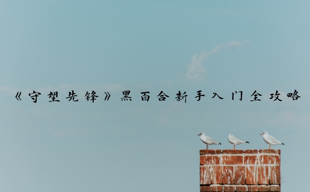 《守望先锋》黑百合新手入门全攻略