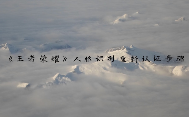 《王者荣耀》人脸识别重新认证步骤及相关网站