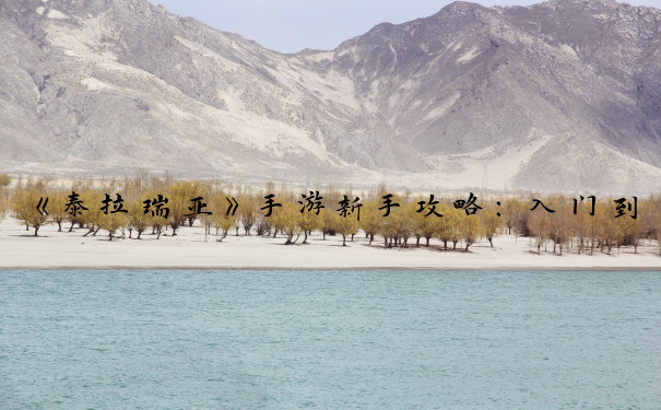 《泰拉瑞亚》手游新手攻略：入门到精通全详解