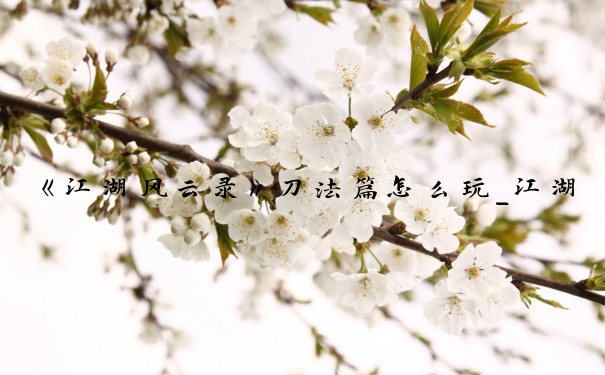 《江湖风云录》刀法篇怎么玩_江湖风云录太虚刀