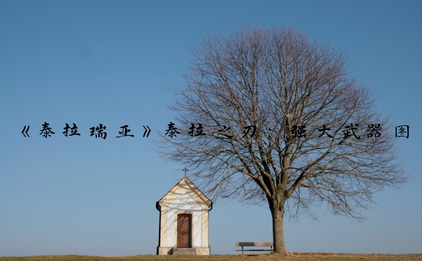 《泰拉瑞亚》泰拉之刃：强大武器图鉴