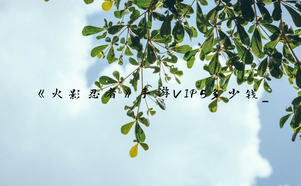 《火影忍者》手游VIP5多少钱_火影忍者vip价格表