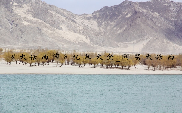 《大话西游》礼包大全_网易大话西游手游礼包