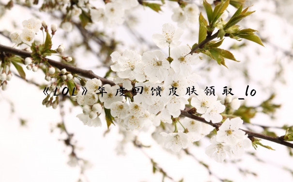 《LOL》年度回馈皮肤领取_lol回馈活动