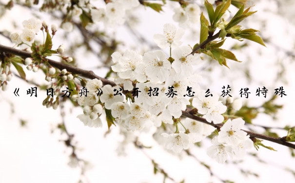 《明日方舟》公开招募怎么获得特殊干员_明日方舟公开招募