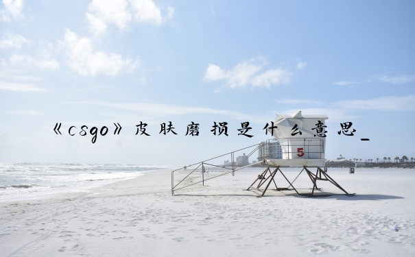 《csgo》皮肤磨损是什么意思_csgo磨损什么意思