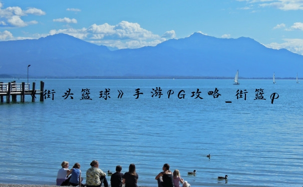 《街头篮球》手游PG攻略_街篮pg刘备攻略