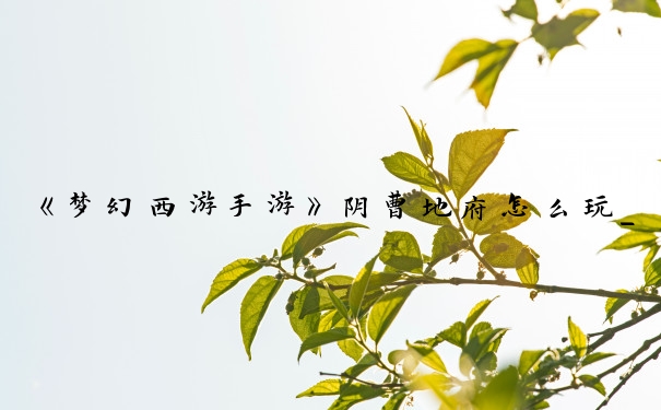 《梦幻西游手游》阴曹地府怎么玩_梦幻西游手游地府