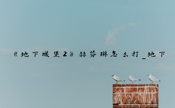 《地下城堡2》赫芬琳怎么打_地下城堡2赫芬琳打法