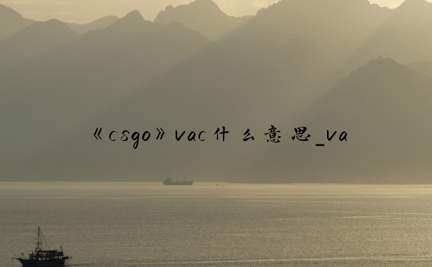 《csgo》vac什么意思_vac什么意思