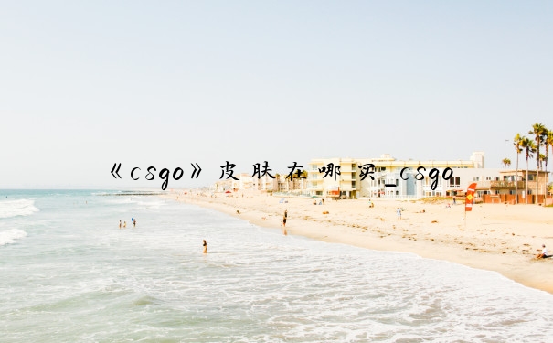 《csgo》皮肤在哪买_csgo怎么买皮肤