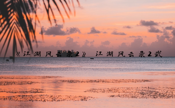 《江湖风云录2》_江湖风云录2武功
