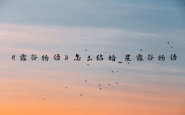 《露谷物语》怎么结婚_星露谷物语怎么结婚
