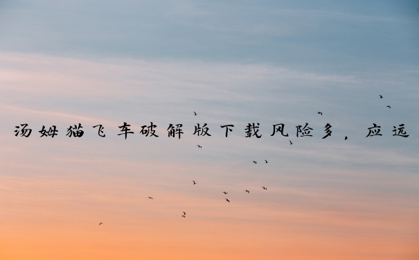 汤姆猫飞车破解版下载风险多，应远离选择正版