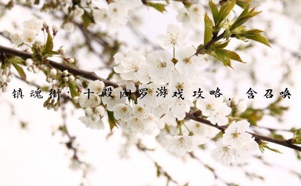 镇魂街：十殿阎罗游戏攻略，含召唤、强化及PVP运用