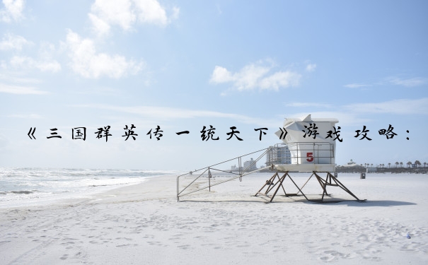《三国群英传一统天下》游戏攻略：发展、武将、战斗、外交策略。