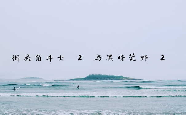 街头角斗士 2 与黑暗荒野 2 攻略