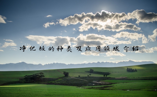 净化板的种类及应用领域介绍