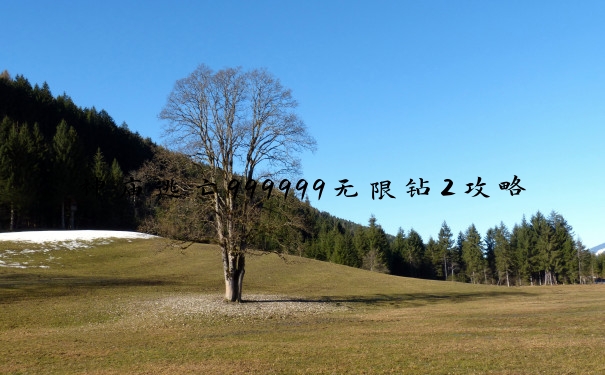 神庙逃亡999999无限钻2攻略：角色、道具、地形、技能、金币