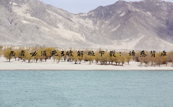 忍者必须死3破解版下载：诱惑背后的风险与应秉持的正确态度