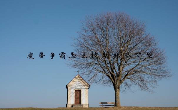 魔兽争霸怎么控制部队阵型