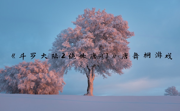 《斗罗大陆2绝世唐门》唐舞桐游戏养成攻略：定位、技能、装备等