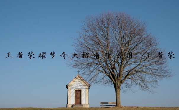 王者荣耀梦奇大招有什么用　王者荣耀梦奇大招有什么用处