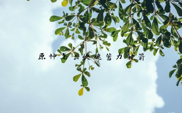 原神怎么快速蓄力射箭
