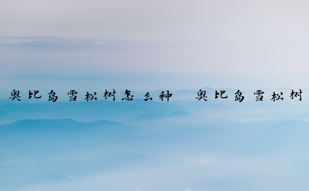 奥比岛雪松树怎么种　奥比岛雪松树怎么种植