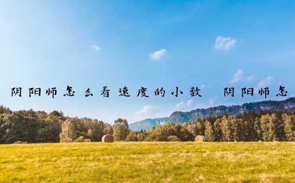 阴阳师怎么看速度的小数　阴阳师怎么看速度小数点
