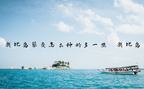 奥比岛藜麦怎么种的多一些　奥比岛藜麦怎么种的多一些呢