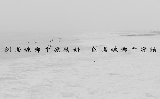 剑与魂哪个宠物好　剑与魂哪个宠物好用