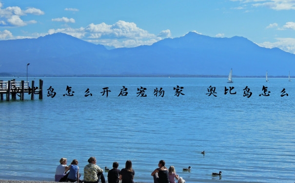 奥比岛怎么开启宠物家　奥比岛怎么开启宠物家庭