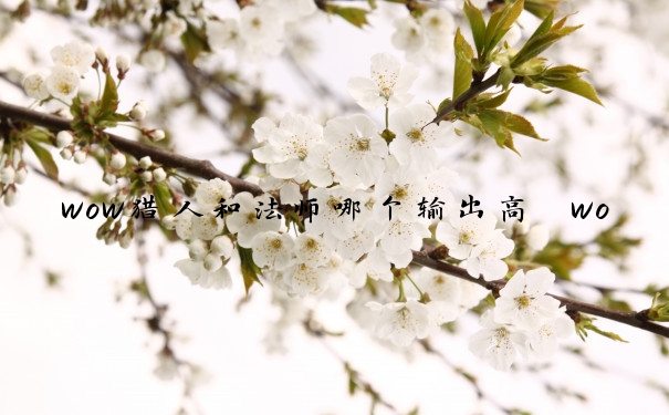 wow猎人和法师哪个输出高　wow猎人和法师哪个输出高一点