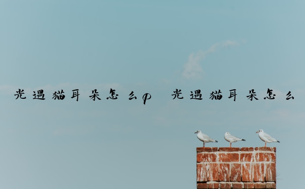 光遇猫耳朵怎么p　光遇猫耳朵怎么获得