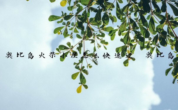 奥比岛火柴小屋怎么快速过　奥比岛火柴小屋怎么快速过关