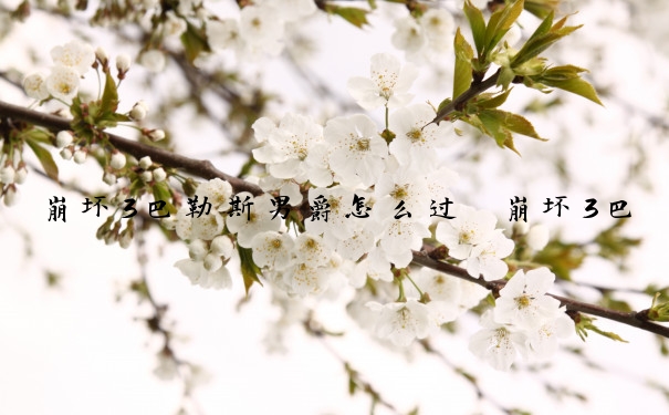 崩坏3巴勒斯男爵怎么过　崩坏3巴勒斯男爵怎么过的