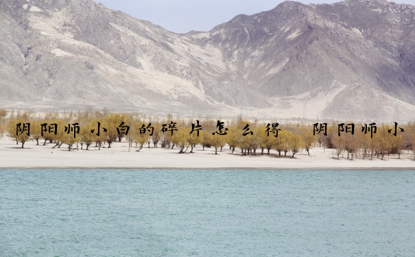 阴阳师小白的碎片怎么得　阴阳师小白的碎片怎么得的