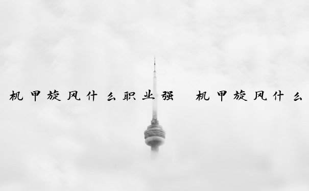 机甲旋风什么职业强　机甲旋风什么职业强大