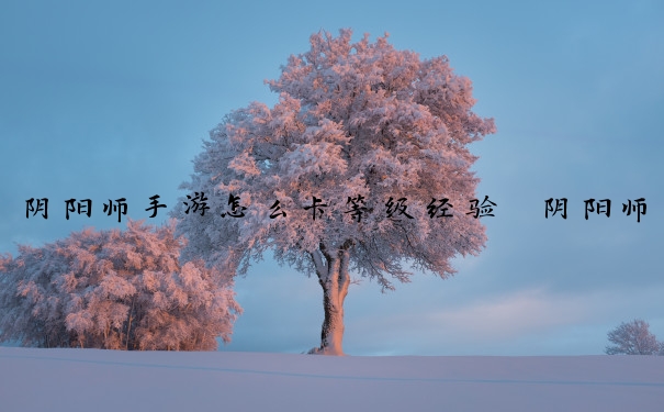 阴阳师手游怎么卡等级经验　阴阳师手游怎么卡等级经验最快