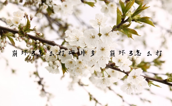 崩坏3怎么打碎片多　崩坏3怎么打碎片多一点