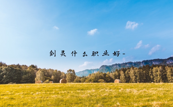 剑灵什么职业好-