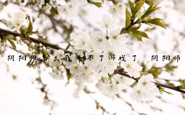 阴阳师怎么我进不了游戏了　阴阳师怎么我进不了游戏了呢