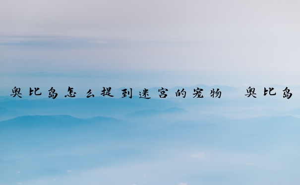 奥比岛怎么捉到迷宫的宠物　奥比岛怎么捉到迷宫的宠物呢