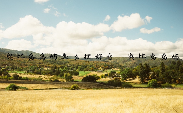 奥比岛岛屿怎么摆好看　奥比岛岛屿怎么摆好看的东西