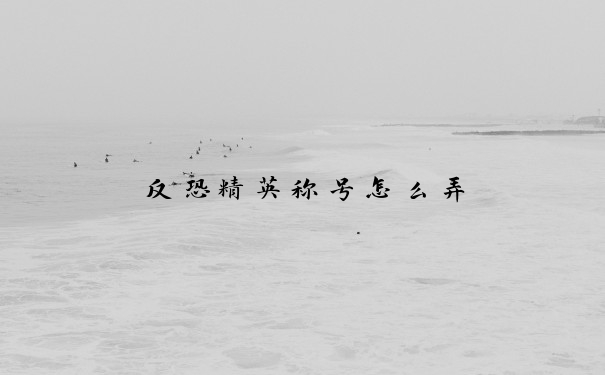 反恐精英称号怎么弄