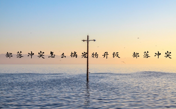 部落冲突怎么搞宠物升级　部落冲突怎么搞宠物升级快
