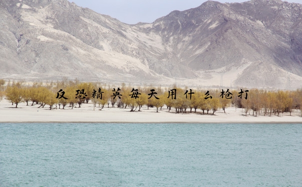 反恐精英每天用什么枪打